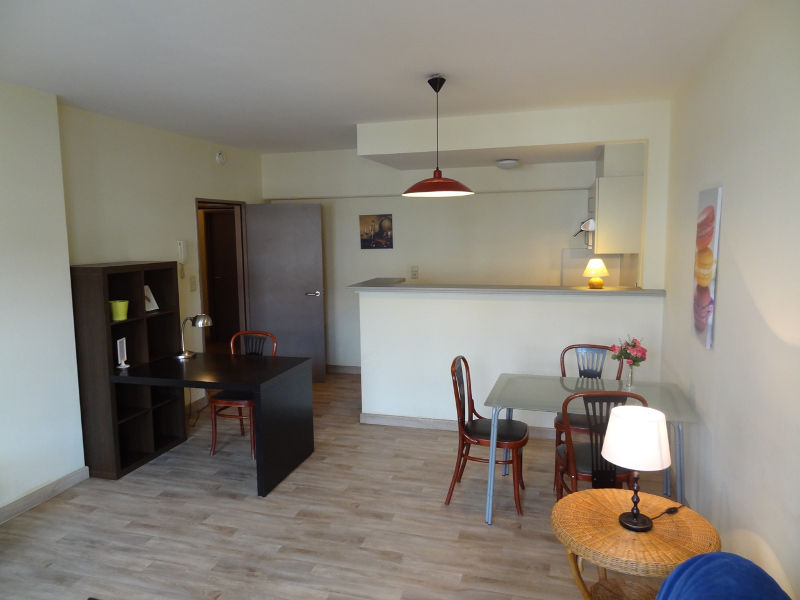 Housing Antwerp - One bedroom Apartment Paleisstraat 32 - Antwerp
